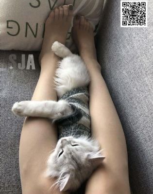 丰满岳乱妇久久久_4K手机在线观看